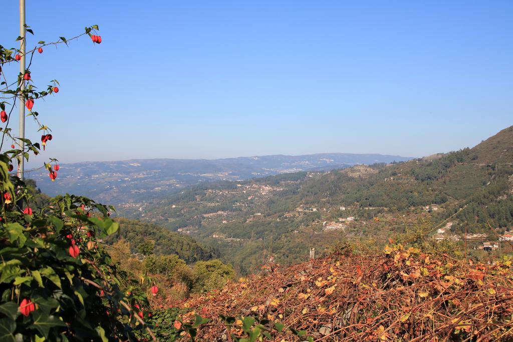 Douro Senses - Village House Cinfães Extérieur photo